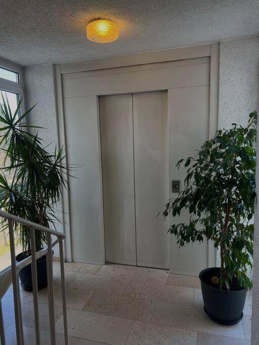 Penthouse Apartment In Kehl Eksteriør billede