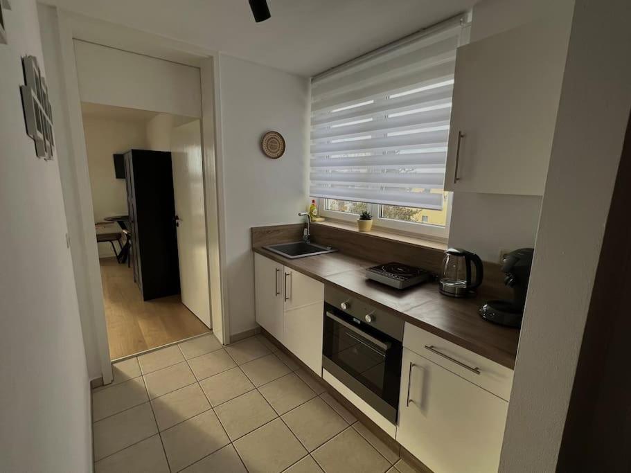 Penthouse Apartment In Kehl Eksteriør billede